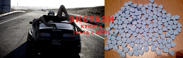 стаф Протвино