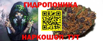 шишки Ипатово