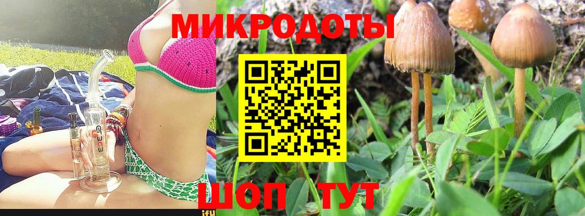 Галлюциногенные грибы мухоморы Холмск