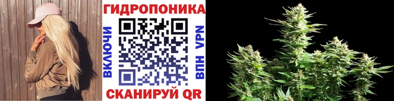 купить наркотик  Холмск  Марихуана OG Kush 